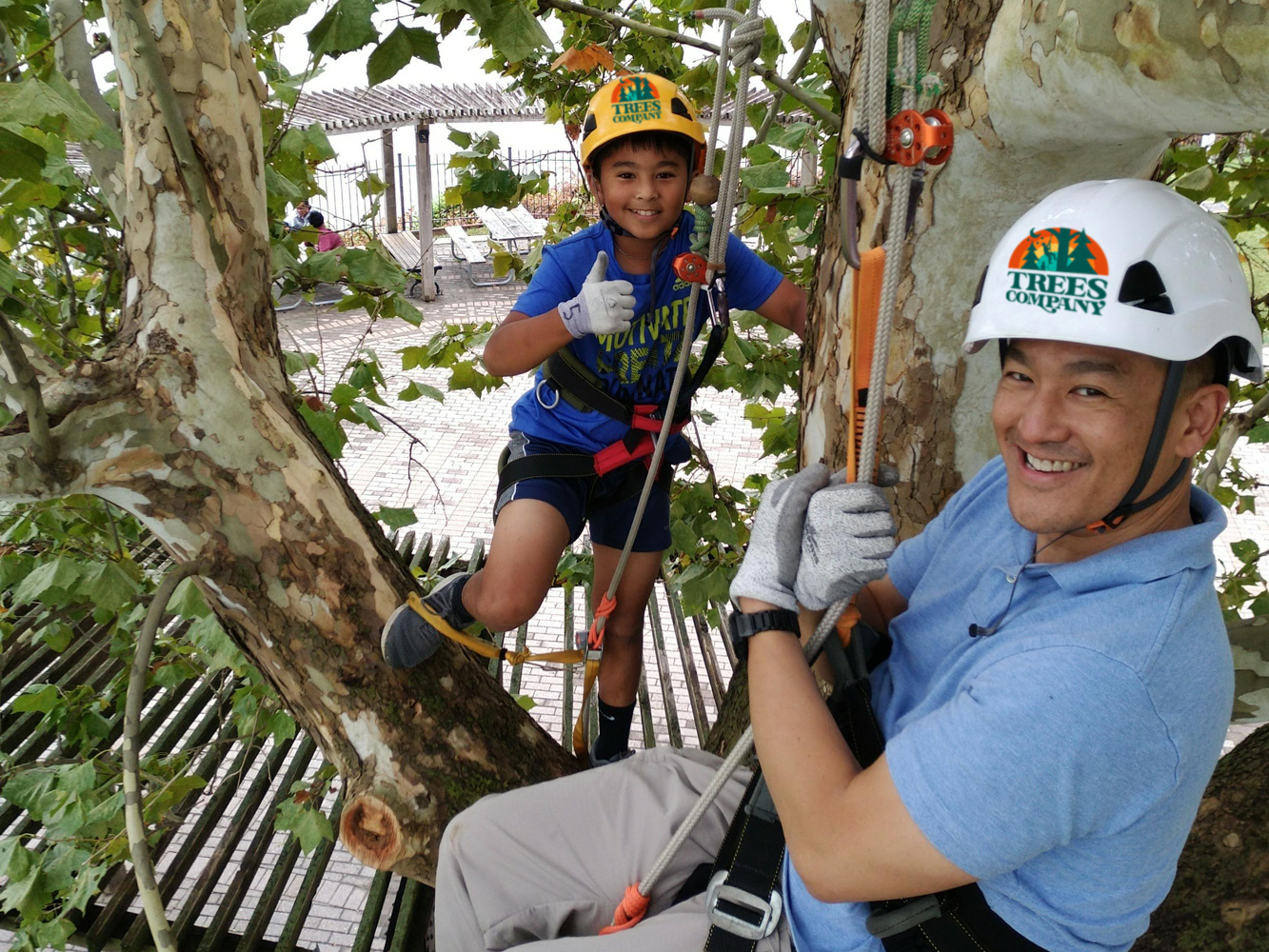 Private group participating in guided tree climb