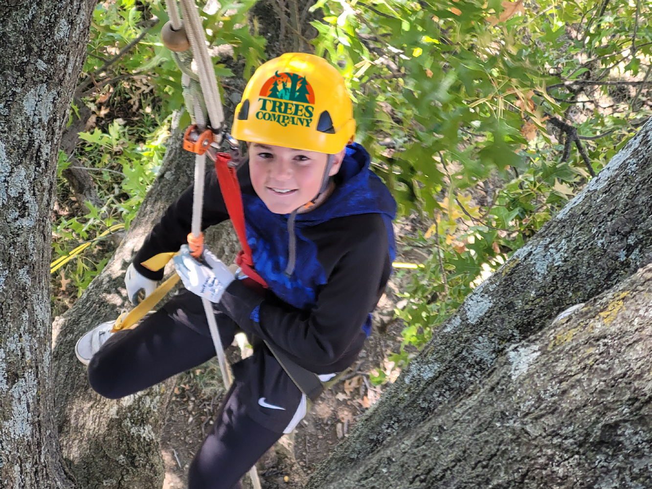 Outdoor youth camp tree climbing activity