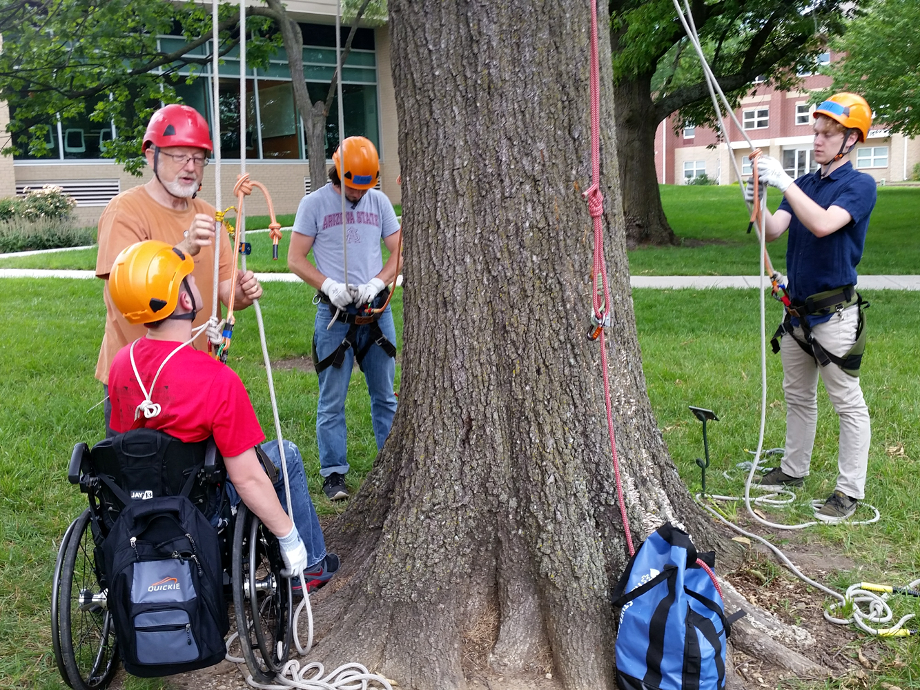 Advanced soloist tree climbing instruction